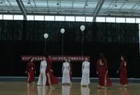 4fa330abcbafd245a7b0f53a8fb0c04